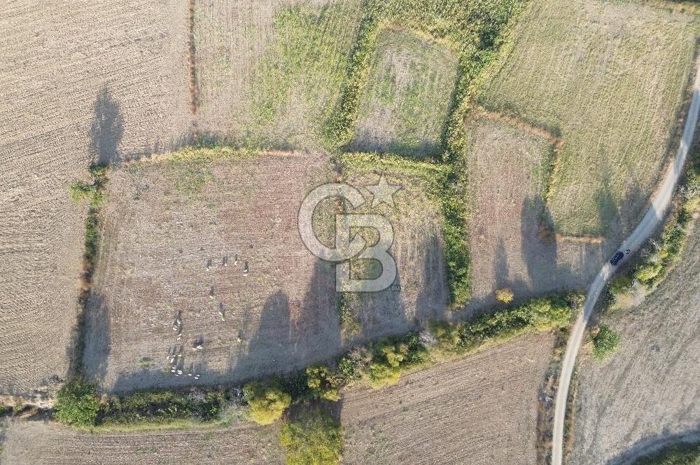ÇANAKKALE ECEABAT KUMKÖYDE 1.442 M² SATILIK TARLA