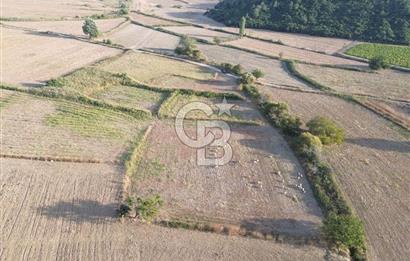 ÇANAKKALE ECEABAT KUMKÖYDE 1.442 M² SATILIK TARLA
