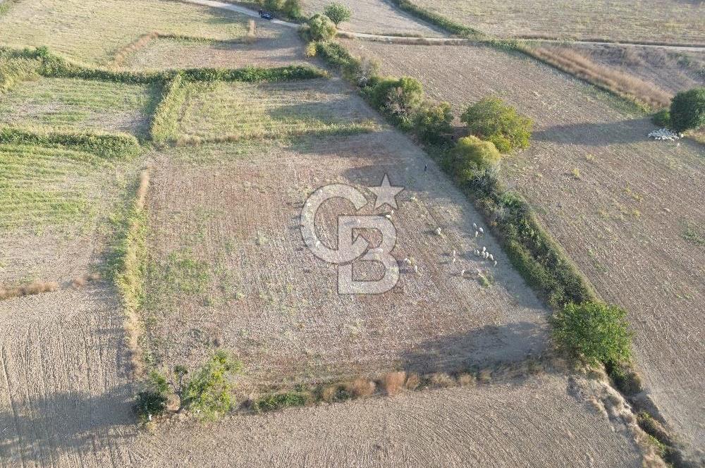 ÇANAKKALE ECEABAT KUMKÖYDE 1.442 M² SATILIK TARLA