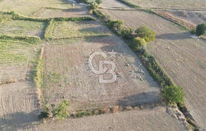ÇANAKKALE ECEABAT KUMKÖYDE 1.442 M² SATILIK TARLA