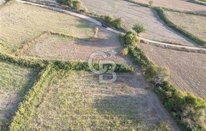 ÇANAKKALE ECEABAT KUMKÖYDE 1.442 M² SATILIK TARLA