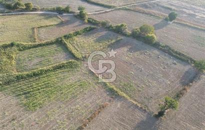 ÇANAKKALE ECEABAT KUMKÖYDE 1.442 M² SATILIK TARLA