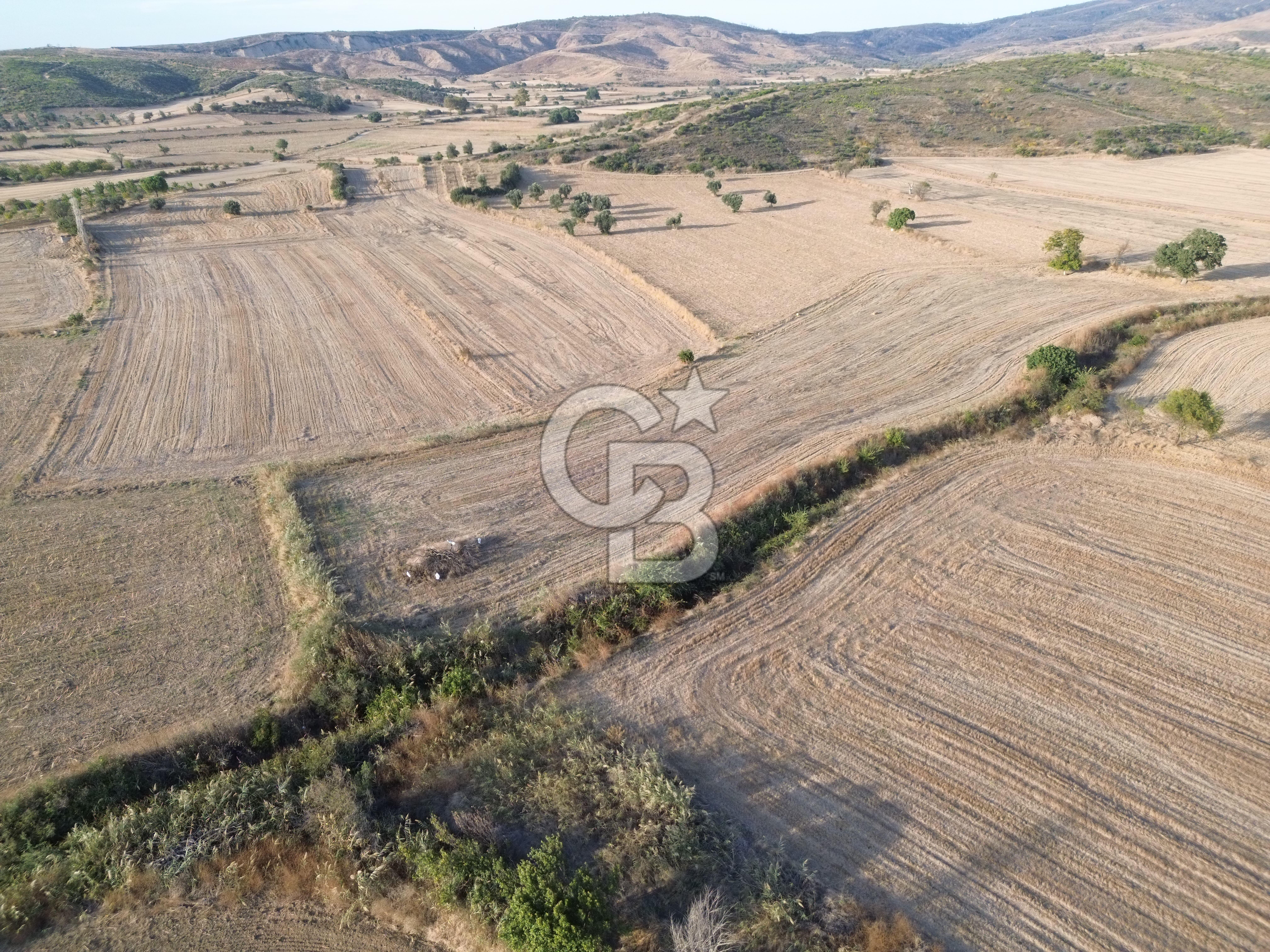 ÇANAKKALE ECEABAT KUMKÖYDE 8 DÖNÜM TARLA
