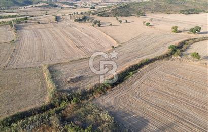 ÇANAKKALE ECEABAT KUMKÖYDE 8 DÖNÜM TARLA