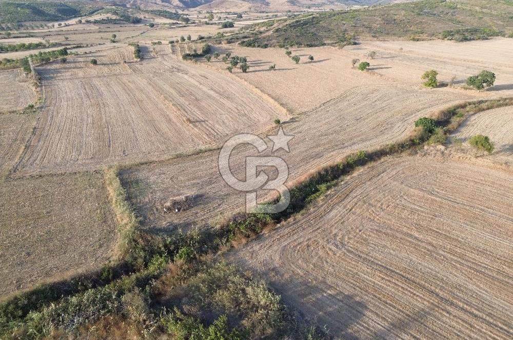 ÇANAKKALE ECEABAT KUMKÖYDE 8 DÖNÜM TARLA