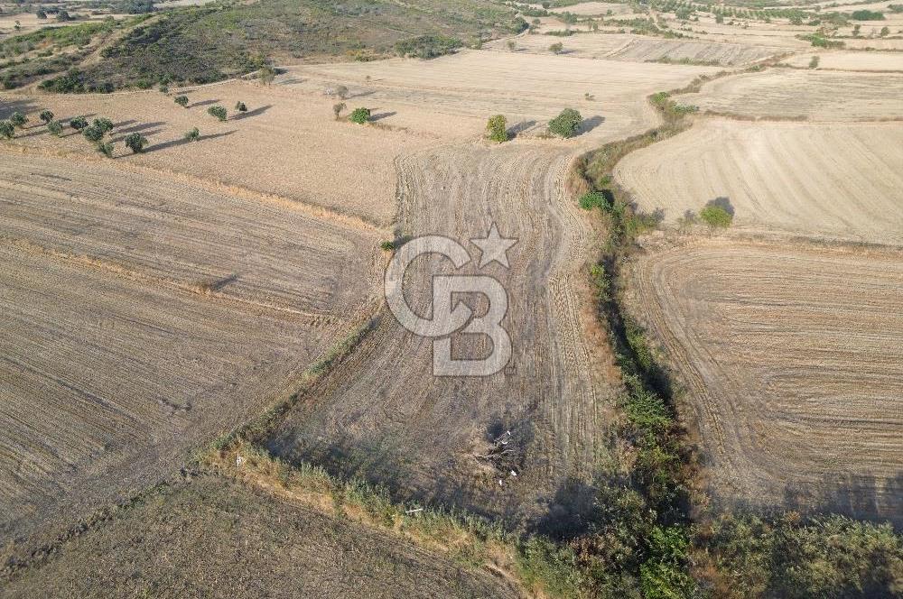ÇANAKKALE ECEABAT KUMKÖYDE 8 DÖNÜM TARLA