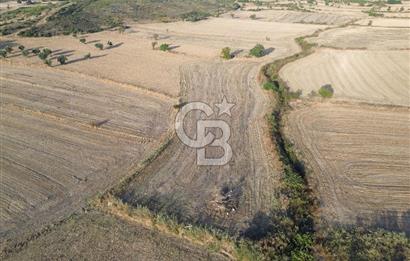 ÇANAKKALE ECEABAT KUMKÖYDE 8 DÖNÜM TARLA
