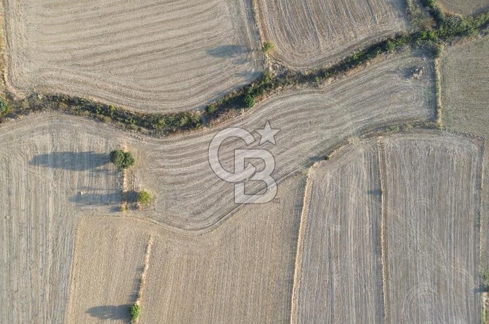 ÇANAKKALE ECEABAT KUMKÖYDE 8 DÖNÜM TARLA