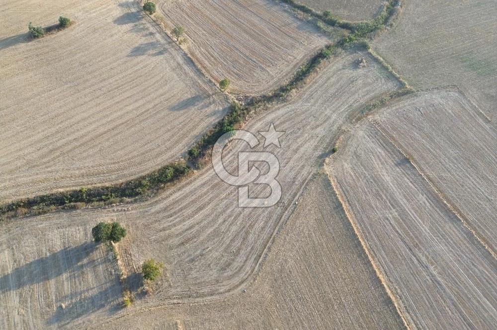 ÇANAKKALE ECEABAT KUMKÖYDE 8 DÖNÜM TARLA