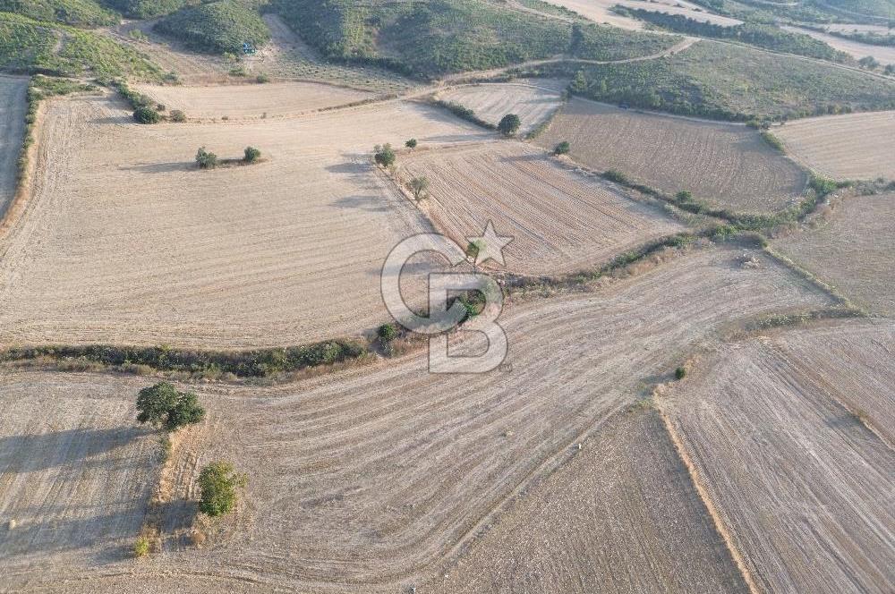 ÇANAKKALE ECEABAT KUMKÖYDE 8 DÖNÜM TARLA