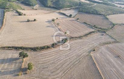 ÇANAKKALE ECEABAT KUMKÖYDE 8 DÖNÜM TARLA
