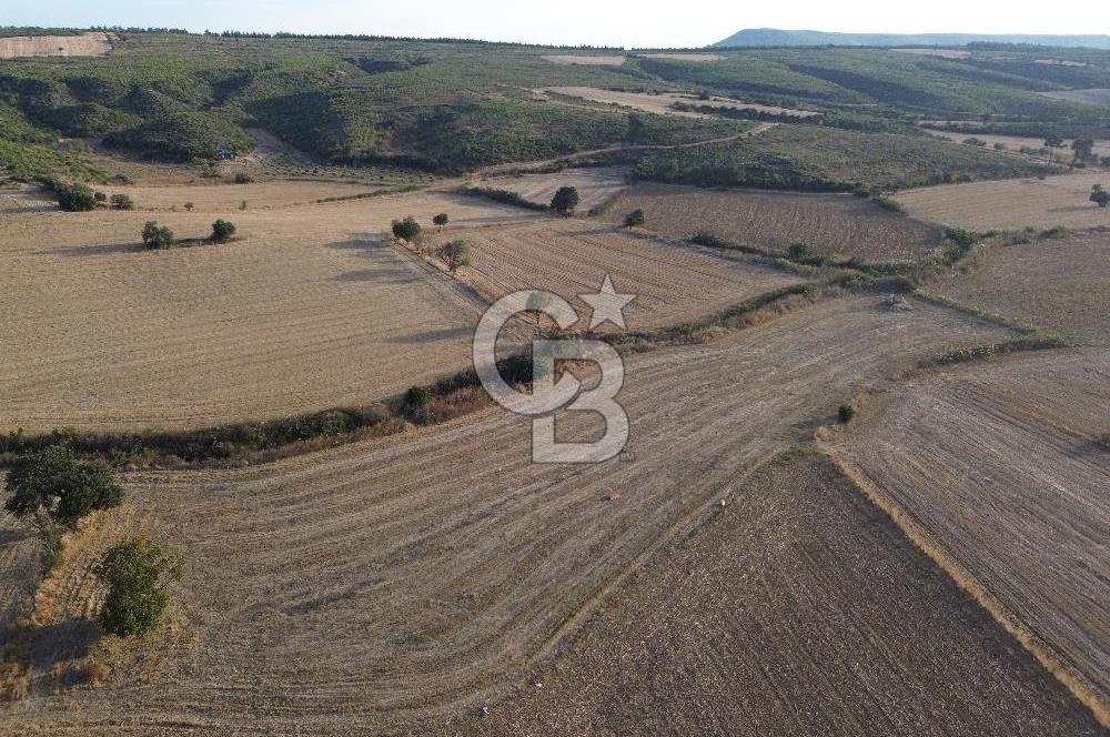 ÇANAKKALE ECEABAT KUMKÖYDE 8 DÖNÜM TARLA