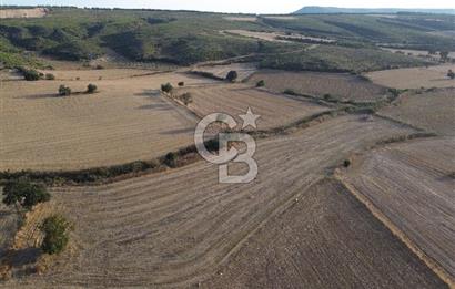 ÇANAKKALE ECEABAT KUMKÖYDE 8 DÖNÜM TARLA