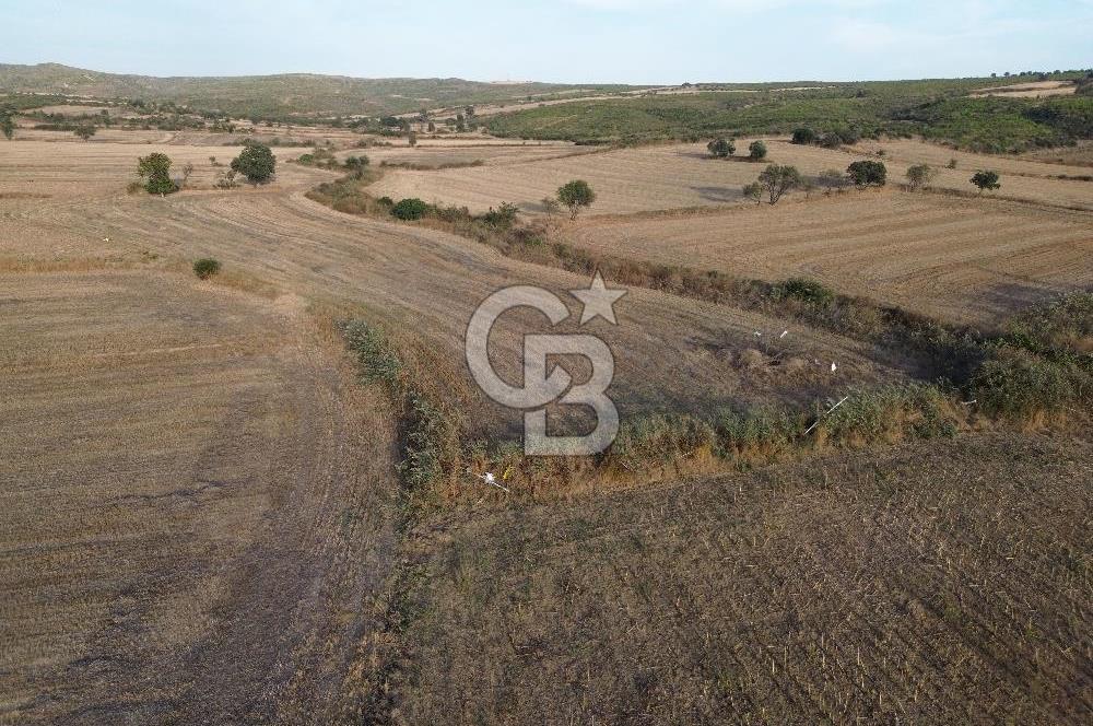ÇANAKKALE ECEABAT KUMKÖYDE 8 DÖNÜM TARLA