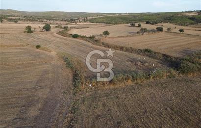 ÇANAKKALE ECEABAT KUMKÖYDE 8 DÖNÜM TARLA