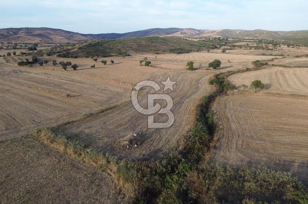 ÇANAKKALE ECEABAT KUMKÖYDE 8 DÖNÜM TARLA
