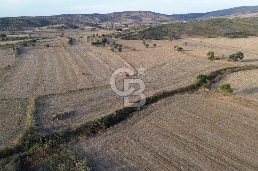 ÇANAKKALE ECEABAT KUMKÖYDE 8 DÖNÜM TARLA