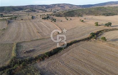 ÇANAKKALE ECEABAT KUMKÖYDE 8 DÖNÜM TARLA