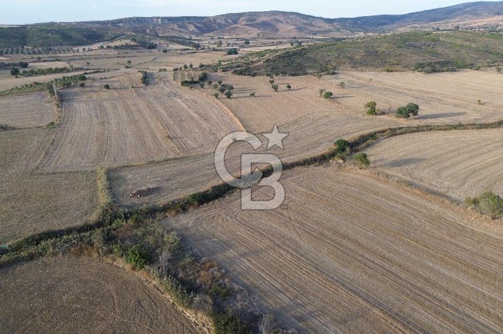 ÇANAKKALE ECEABAT KUMKÖYDE 8 DÖNÜM TARLA