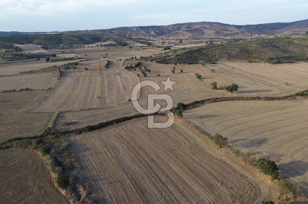 ÇANAKKALE ECEABAT KUMKÖYDE 8 DÖNÜM TARLA