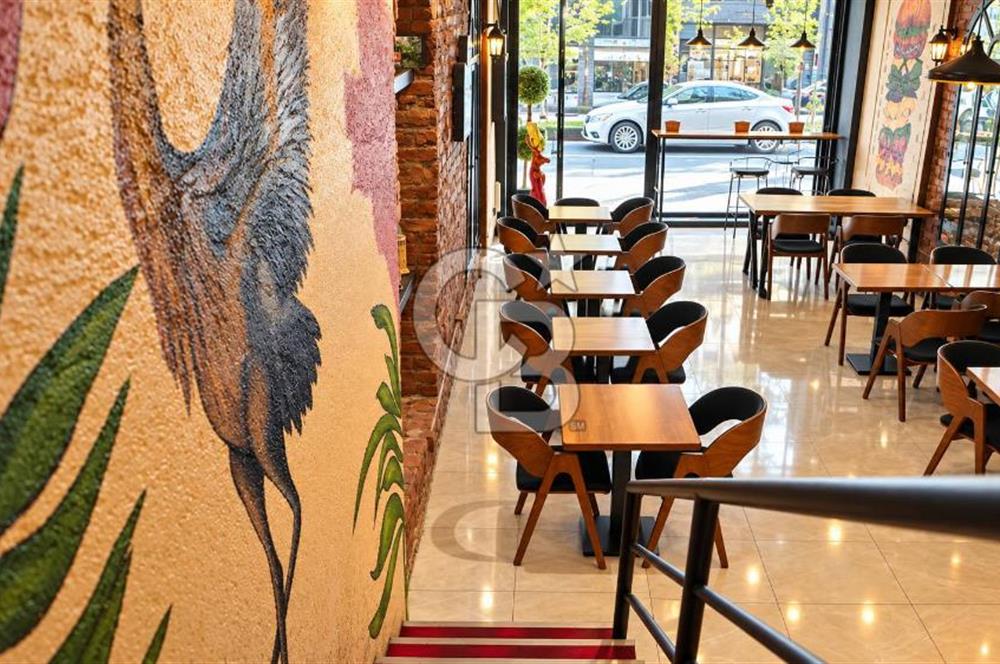 KARAKÖY'DE RESTORANLI, 12 ODALI DEVREN KİRALIK BİNA