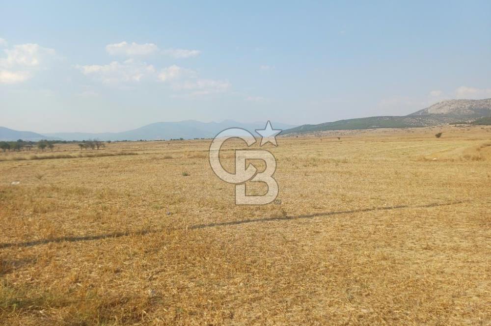 KORKUTELİ AŞAĞI BOZOVA SATILIK TARLA