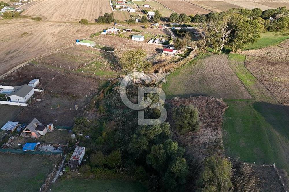 İzettin de 384m2 hisseli parsel