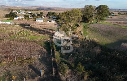 İzettin de 384m2 hisseli parsel