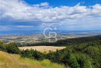 Bursa İznik Gölü Manzaralı Tek Tapu 40.000 M2 Arsa - 2 - 377359