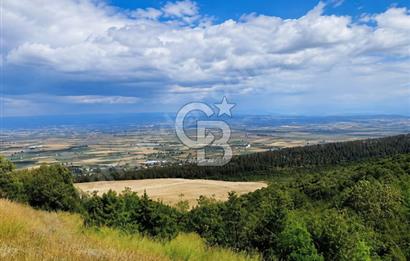 Bursa İznik Gölü Manzaralı Tek Tapu 40.000 M2 Arsa
