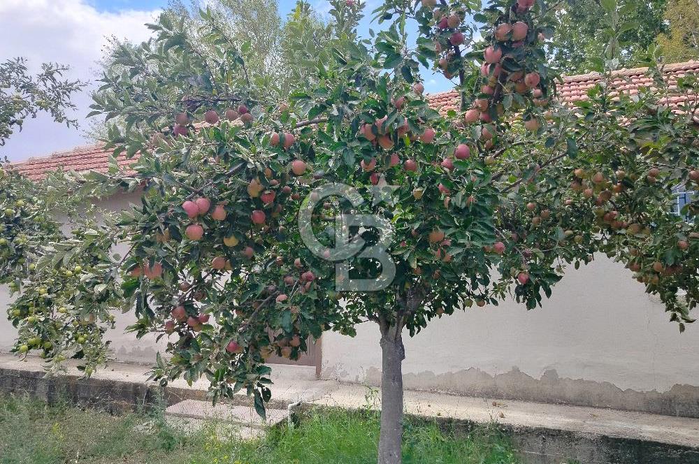 KAHRAMANKAZAN GÜNBAŞI SATILIK TARLA