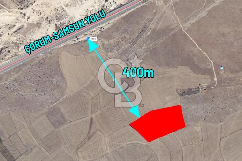 ÇORUM MECİTÖZÜ TANRIVERMİŞ KÖYÜ SATILIK TARLA