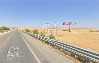 ÇORUM MECİTÖZÜ TANRIVERMİŞ KÖYÜ SATILIK TARLA