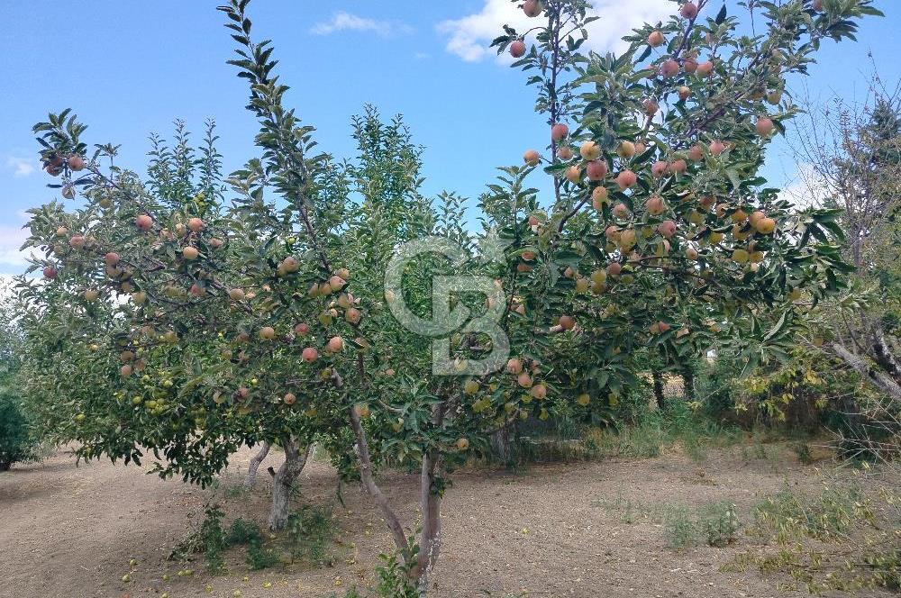 KAHRAMANKAZAN GÜNBAŞI SATILIK TARLA
