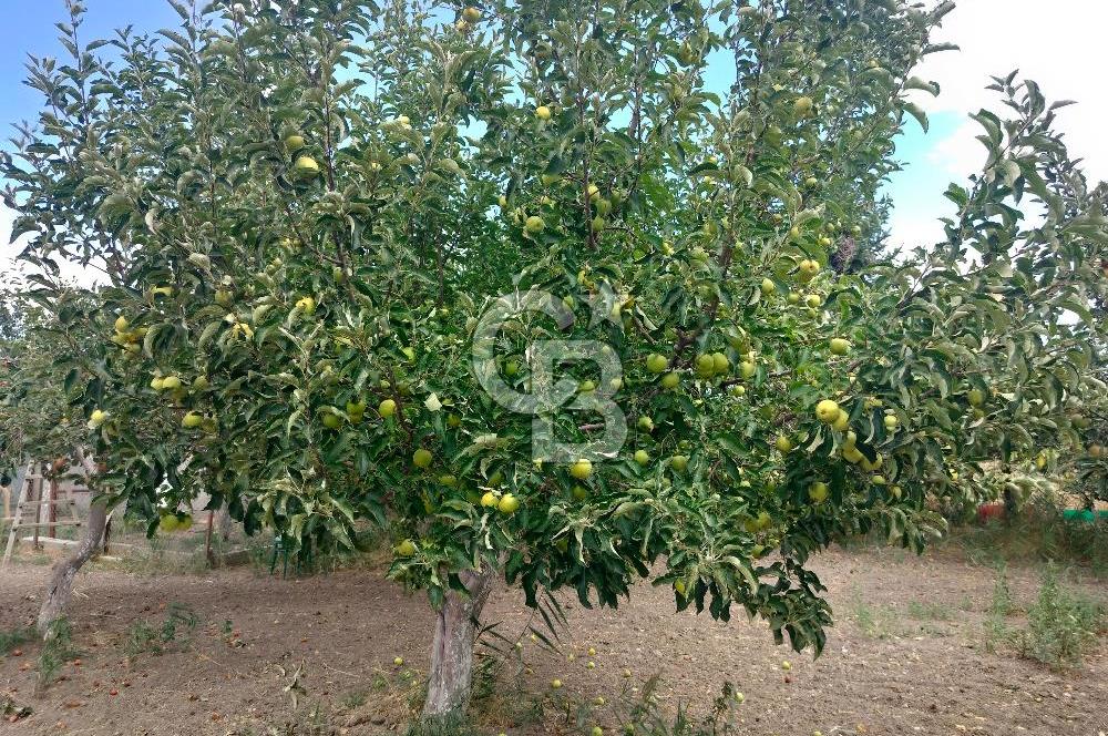 KAHRAMANKAZAN GÜNBAŞI SATILIK TARLA