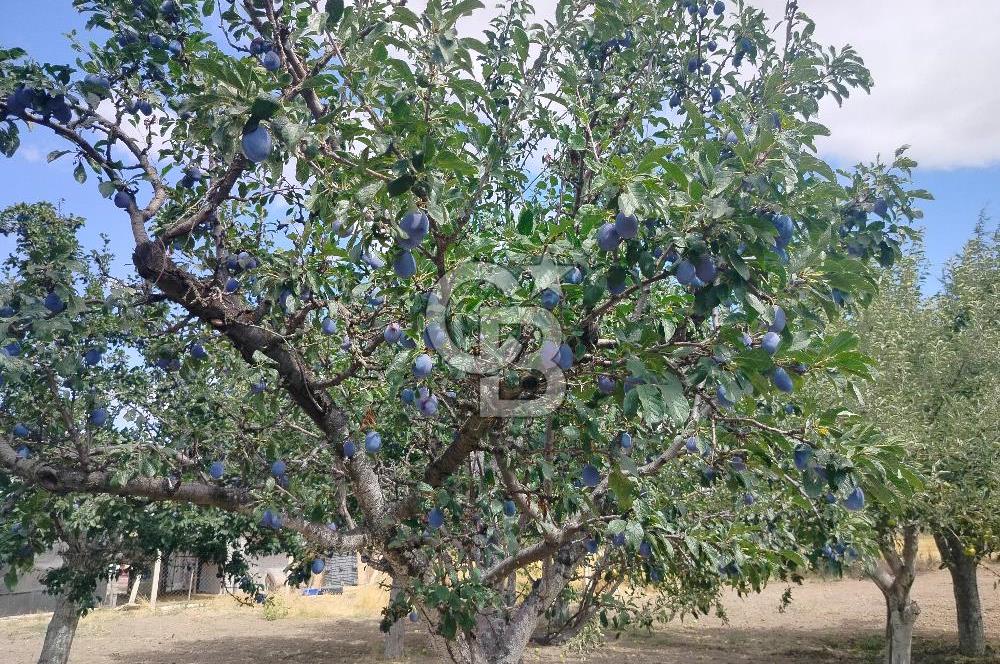 KAHRAMANKAZAN GÜNBAŞI SATILIK TARLA