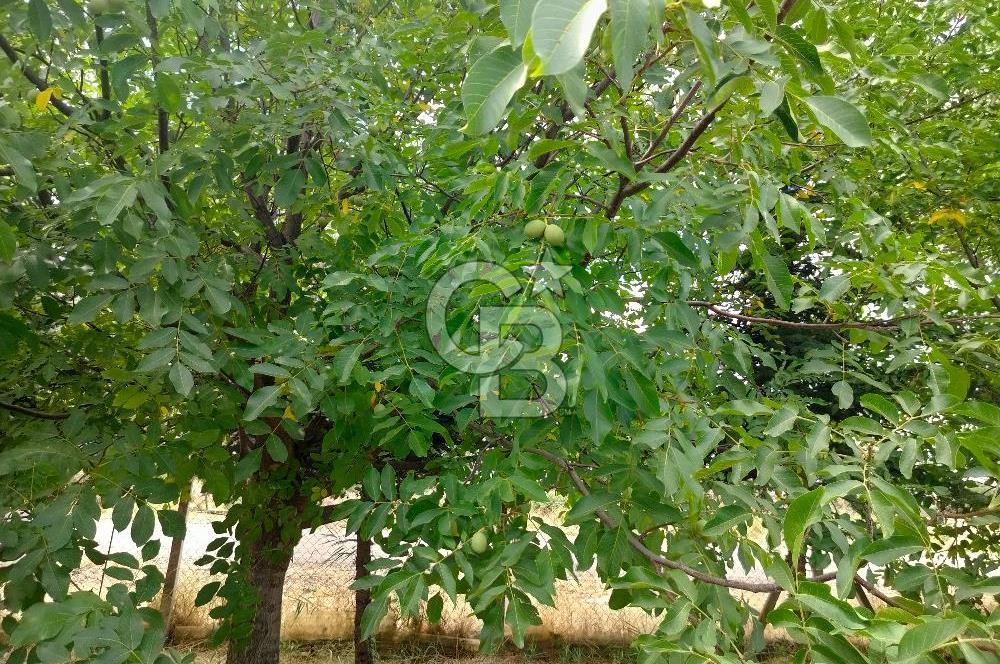 KAHRAMANKAZAN GÜNBAŞI SATILIK TARLA
