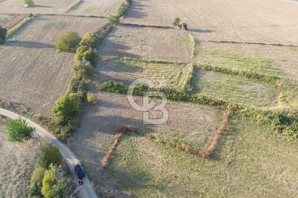 ÇANAKKALE ECEABAT KUMKÖYDE YOLA CEPHE 1.5 DÖNÜM SATILIK TARLA
