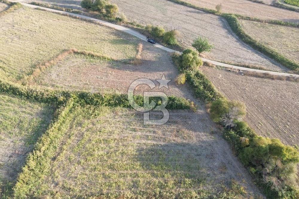 ÇANAKKALE ECEABAT KUMKÖYDE YOLA CEPHE 1.5 DÖNÜM SATILIK TARLA