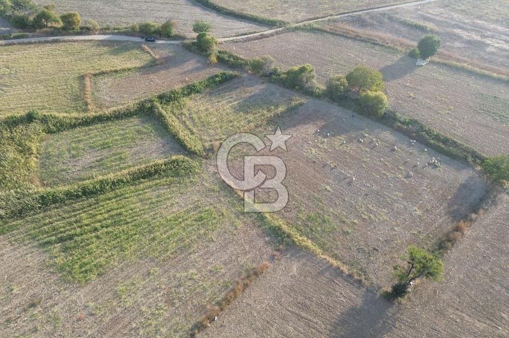 ÇANAKKALE ECEABAT KUMKÖYDE YOLA CEPHE 1.5 DÖNÜM SATILIK TARLA