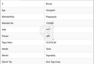 Bursa Yenişehir Paşayaylada 10.073 M² Tek Parça Yatırımlık Tarla - 1 - 377500