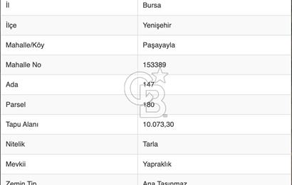 Bursa Yenişehir Paşayaylada 10.073 M² Tek Parça Yatırımlık Tarla