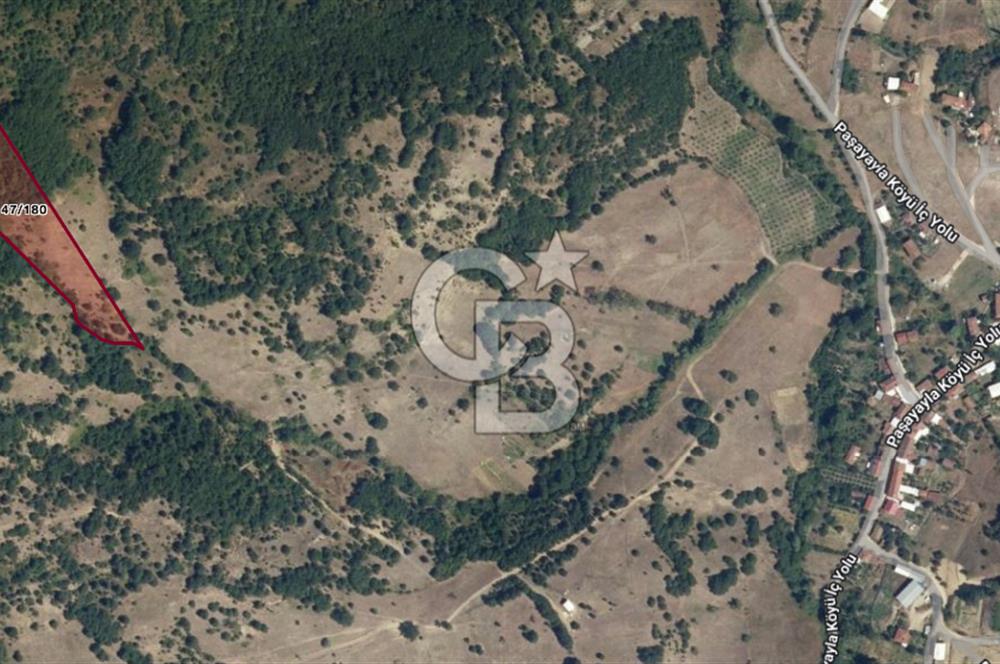 Bursa Yenişehir Paşayaylada 10.073 M² Tek Parça Yatırımlık Tarla