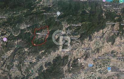 Bursa Yenişehir Paşayaylada 10.073 M² Tek Parça Yatırımlık Tarla