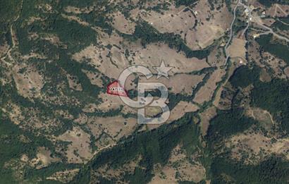  Emlak Arsa Satılık Bursa Yenişehir Köyler Paşayayla Mh. Favori İlanlarım Favori Aramalarım Size Özel İlanlar Karşılaştır BURSA YENİŞEHİR PAŞAYAYLADA 5.518 m² MÜSTAKİL TAPULU TARLA