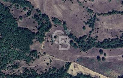  Emlak Arsa Satılık Bursa Yenişehir Köyler Paşayayla Mh. Favori İlanlarım Favori Aramalarım Size Özel İlanlar Karşılaştır BURSA YENİŞEHİR PAŞAYAYLADA 5.518 m² MÜSTAKİL TAPULU TARLA
