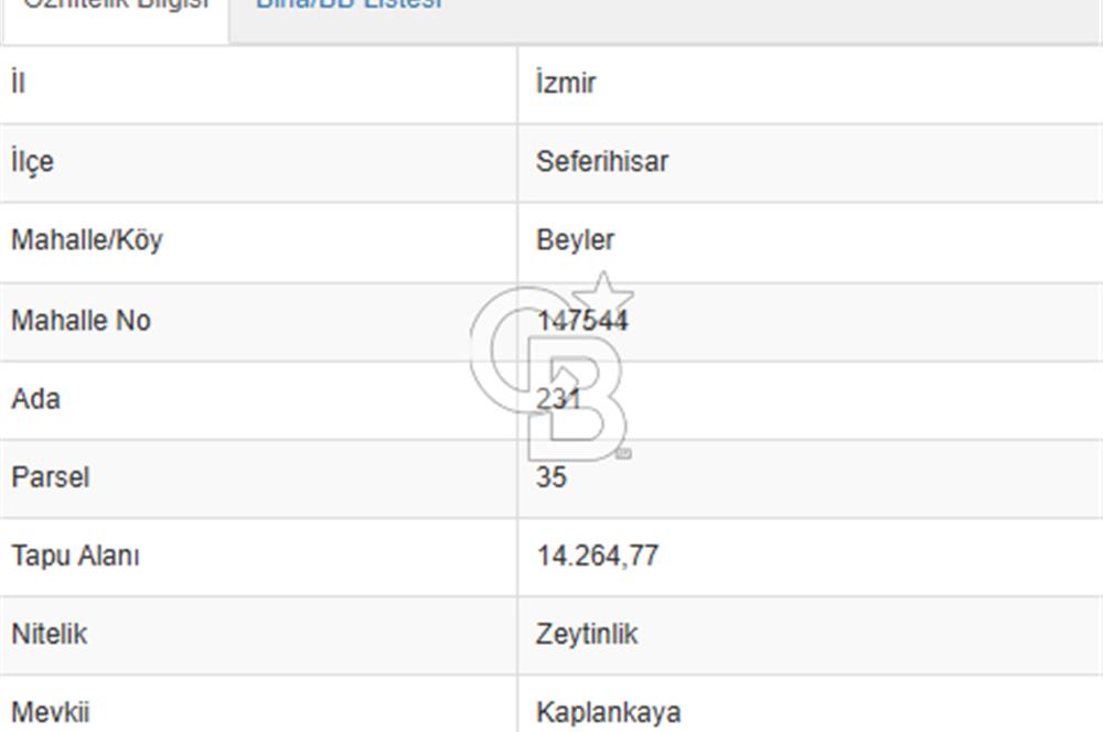 Seferihisar Beyler Köyü’nde Verimli Zeytinlik