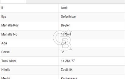 Seferihisar Beyler Köyü’nde Verimli Zeytinlik