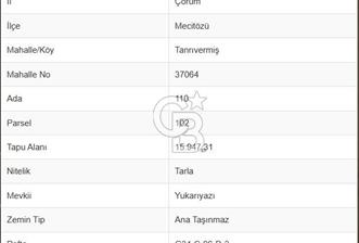 ÇORUM MECİTÖZÜ TANRIVERMİŞ KÖYÜ SATILIK TARLA - 5 - 377517