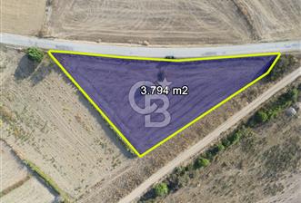 ÇANAKKALE ECEABAT KUMKÖYDE YOLA ÇİFT CEPHELİ 3.794M2 TARLA - 10 - 377578